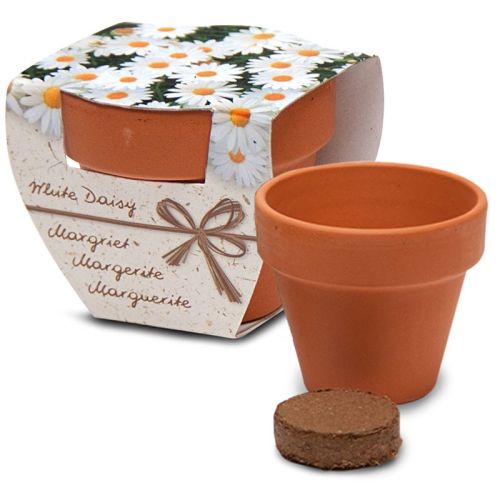 Bloemen in Terracotta potje - Afbeelding 4